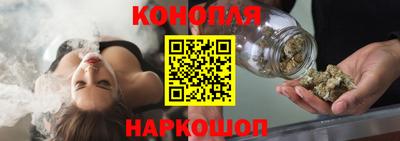 гидропоника Будённовск