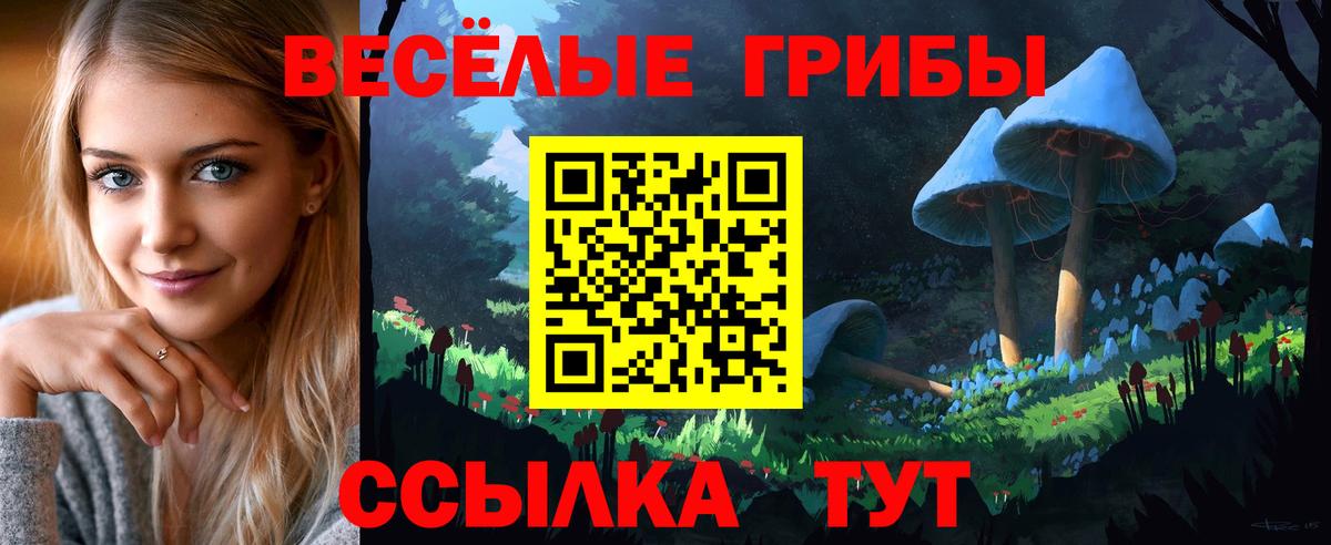 Псилоцибиновые грибы прущие грибы Краснотурьинск